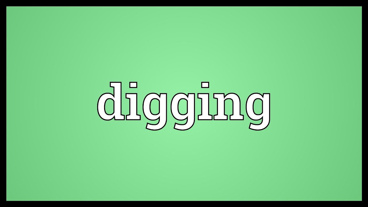 Dig Out Definition